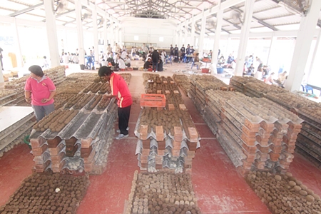 A million microorganism balls are being produced in hopes that they will help at least a little in combating the putrid waters flooding Bangkok.